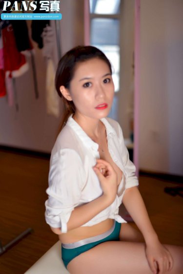 美国派8