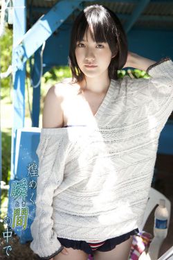 与鸭共舞